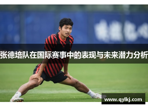 张德培队在国际赛事中的表现与未来潜力分析
